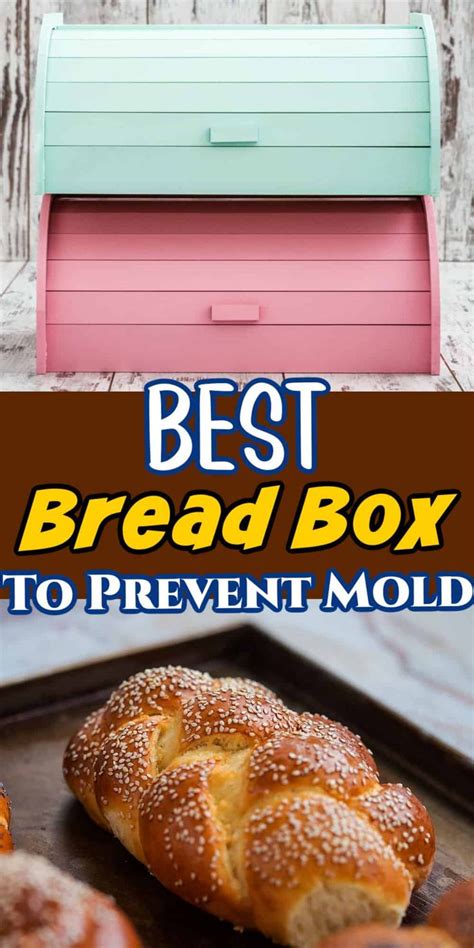 how to clean a metal bread box|can bread boxes prevent mold.